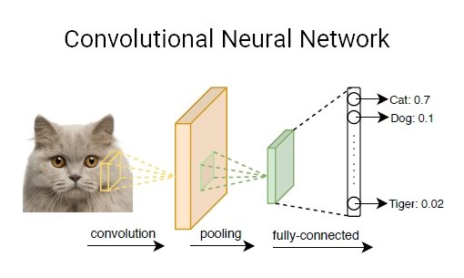 Concept of a Convolutional Neural Network (CNN)